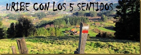 cabecera3 txiki cabecera3 txiki