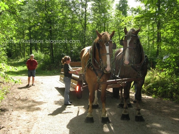 [horse-drawn-wagon7.jpg]