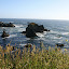 CA Beach 1