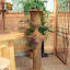 DSCF4790.JPG