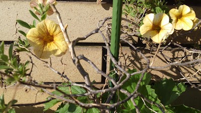 2014-05-07 07.26.59.jpg