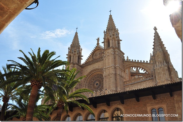 28-Palma de Mallorca. Catedral. Exterior. Desde el Palacio de la Almudaina - DSC_0245