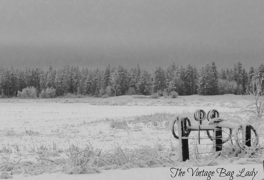 [Christmas-Day-0045.jpg]