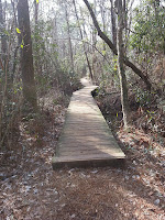 20130203_130624.jpg Photo