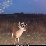 Cdy00050.JPG
