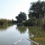 IMG_8012.JPG