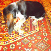 DSCN2487.JPG