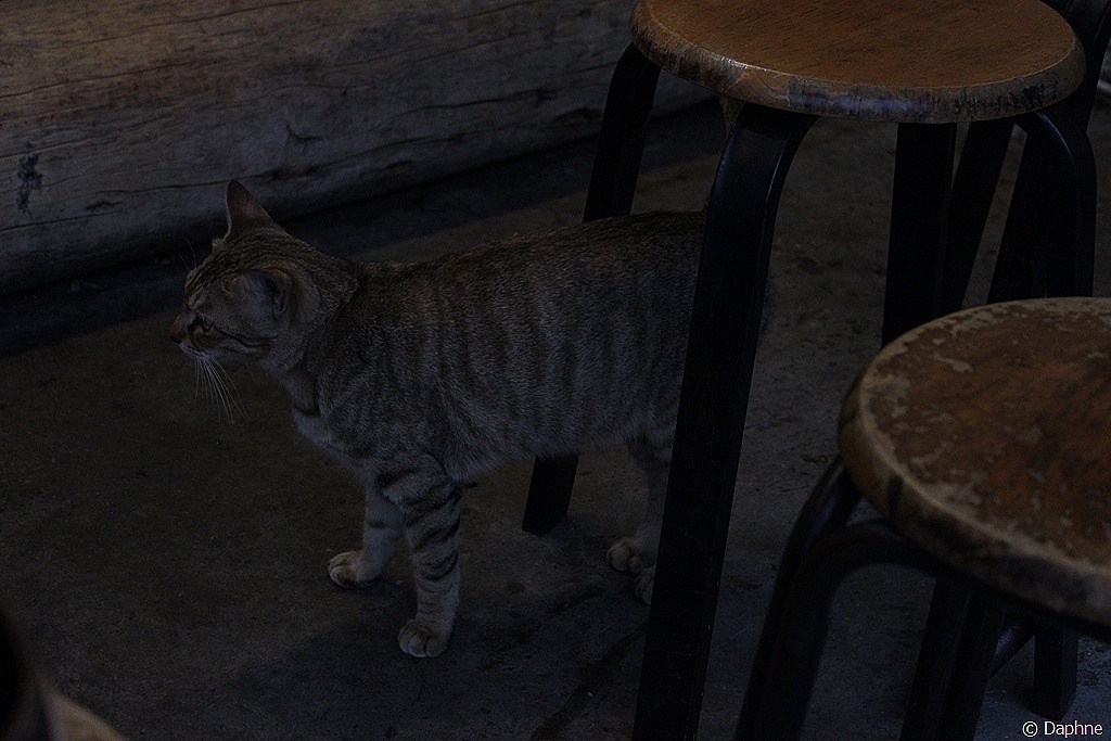 [IMG_2746%255B4%255D.jpg]