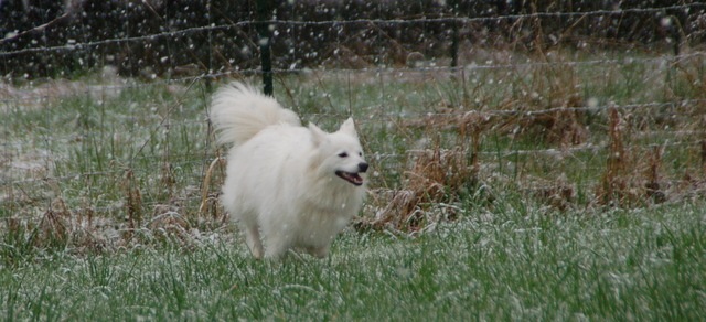 [DSC_5502%255B3%255D.jpg]