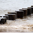 20100826_024_small.JPG