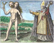 Albertus Magnus From Maier Symbola Aurea Mensae Franckfurt 1617