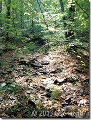 Sue Reno, Steinman Run Trail, view 2