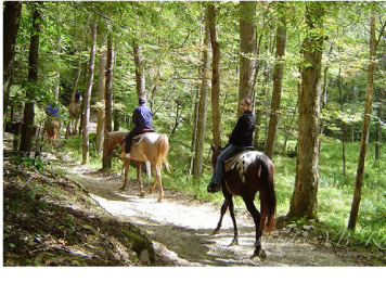 th-paseos-a-caballo-06.jpg th-paseos-a-caballo-06.jpg