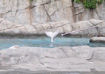 DSC_0164_new.jpg