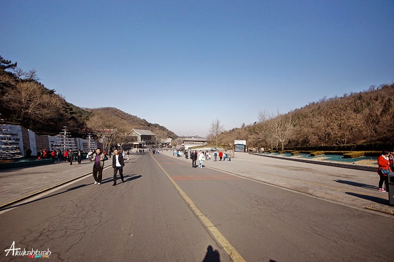 DSC02695 DSC02695