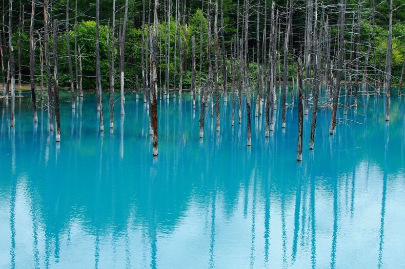 البركة الزرقاء في هوكايدو اليابان. Blue-pond-39