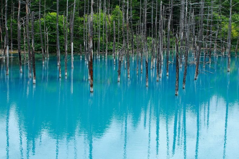 blue-pond-3 blue-pond-3