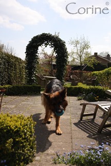 Guus1 Guus1