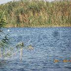 IMG_7990.JPG