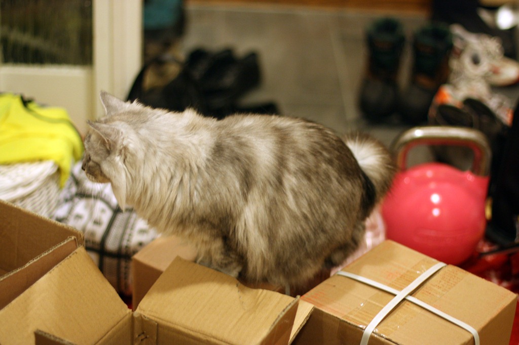 [IMG_1252%255B4%255D.jpg]