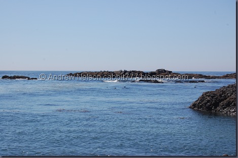 DSC_0736 DSC_0736