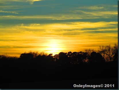 sunset 112711 (1) sunset 112711 (1)