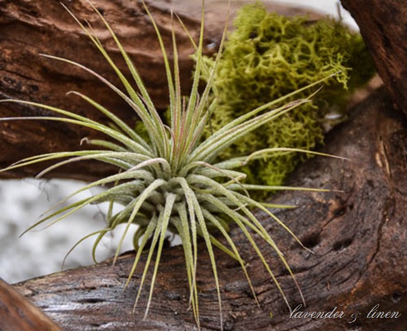 DSC_0003-2 DSC_0003-2