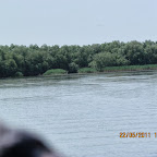 IMG_1347.JPG