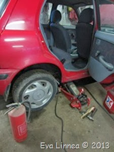 IMG_8552 IMG_8552