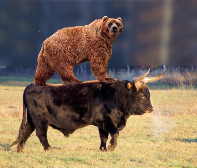 [kodiak_on_giant_nazi_cow%255B10%255D.jpg]