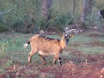 IMG_0899.JPG