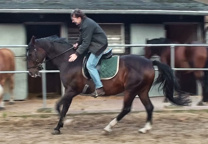 [20130922173140-%252822%2529%255B2%255D.jpg]