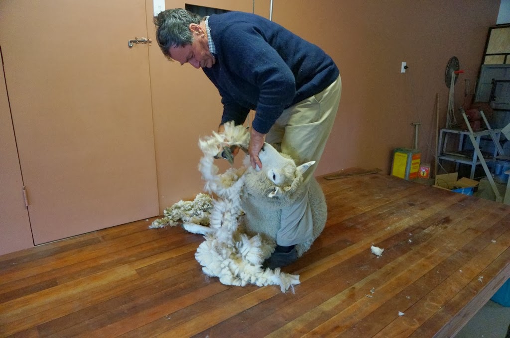 [DSC06183%255B4%255D.jpg]