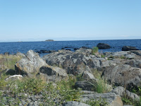 IMGP0138.JPG
