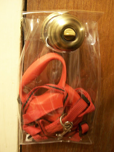 Use them as an entryway organizer.