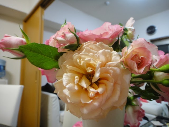 [DSC02028%255B3%255D.jpg]