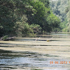 DSCN8349.JPG