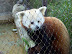 National Zoo in August