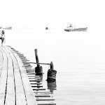 IMG_1381.jpg