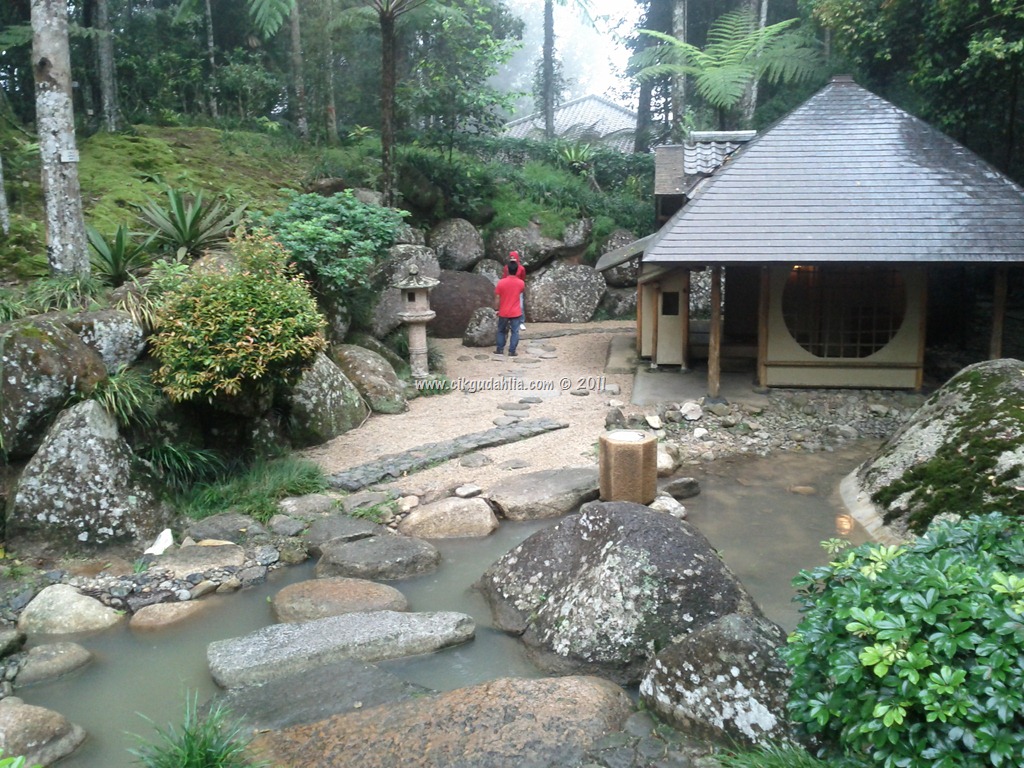 [IMG_20111123_152951%255B12%255D.jpg]