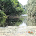 DSCN8359.JPG