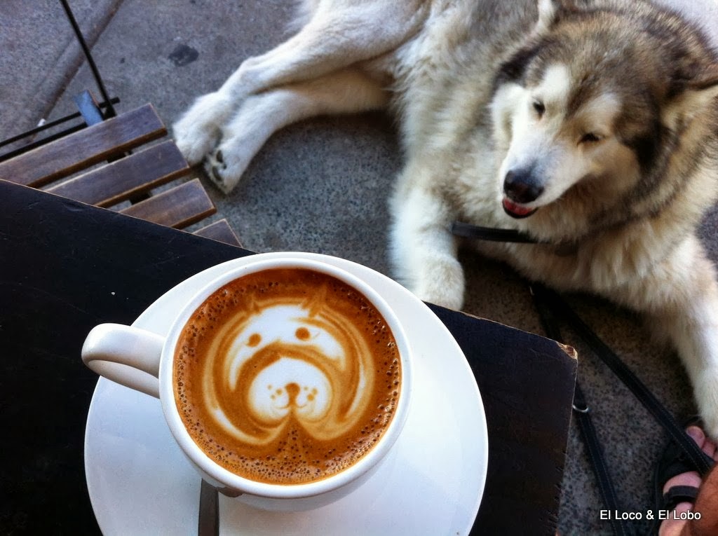 [Doggie%2520coffee%2520art%2520%25282%2529%255B6%255D.jpg]