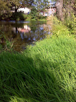 DSC05581.JPG Photo