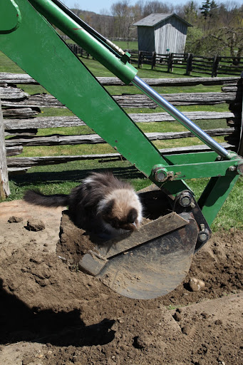 I'll just move the backhoe manually - or is that catually?