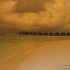 l011.jpg