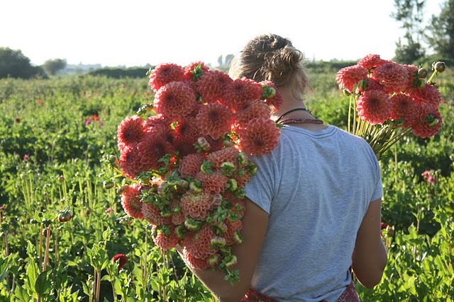 [07092011%25202391%2520floret.jpg]