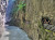 The Aar Gorge Walkway