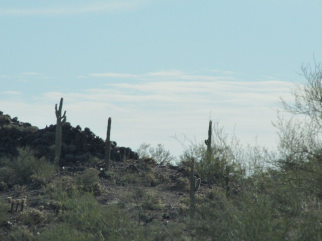 [Yuma%2520to%2520Tucson%2520006%255B5%255D.jpg]