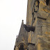 DSC06994.JPG