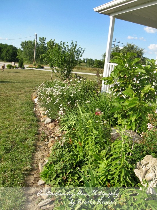 [IMG_4912%255B2%255D.jpg]